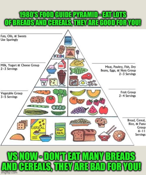 1980's food guide pyramid | 1980'S FOOD GUIDE PYRAMID - EAT LOTS OF BREADS AND CEREALS, THEY ARE GOOD FOR YOU! VS NOW - DON'T EAT MANY BREADS AND CEREALS, THEY ARE BAD FOR YOU! | image tagged in food pyramid,funny,memes,1980's,health | made w/ Imgflip meme maker