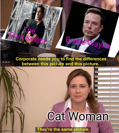 Nice Coat | The Dark Knight; Bruce Wayne; Cat Woman | image tagged in they're the same picture,batman smiles,smiling cat,office space | made w/ Imgflip meme maker