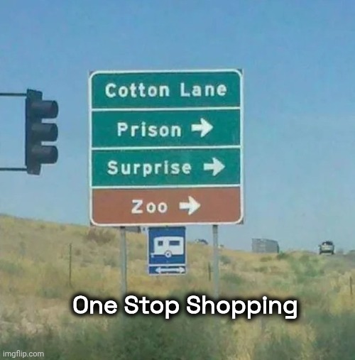 Wait , what's the surprise ? | One Stop Shopping | image tagged in i came looking for copper and i found gold,do you know the way,choose wisely,american highway | made w/ Imgflip meme maker