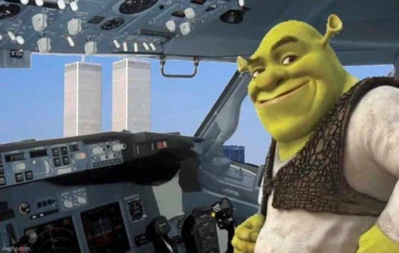 Pilot. | image tagged in shrek | made w/ Imgflip meme maker