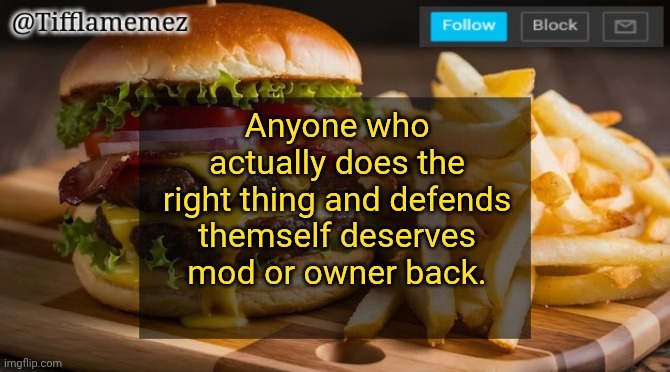 Such as King Ducc and certain others | Anyone who actually does the right thing and defends themself deserves mod or owner back. | image tagged in tifflamemez burger and fries announcement template | made w/ Imgflip meme maker
