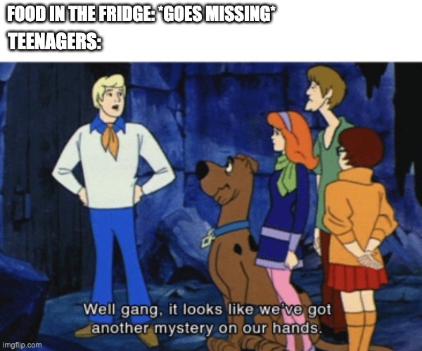 lowkey, we gotta get sherlock holmes on this case | FOOD IN THE FRIDGE: *GOES MISSING*; TEENAGERS: | image tagged in we ve got another mystery,yummy | made w/ Imgflip meme maker