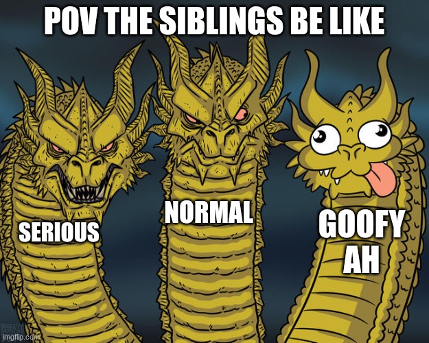 brothers be like | POV THE SIBLINGS BE LIKE; NORMAL; GOOFY AH; SERIOUS | image tagged in three-headed dragon | made w/ Imgflip meme maker