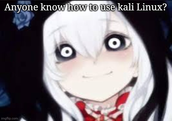 Jeff the killer ai | Anyone know how to use kali Linux? | image tagged in jeff the killer ai | made w/ Imgflip meme maker