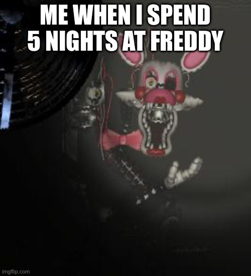 upvote for some reason | ME WHEN I SPEND 5 NIGHTS AT FREDDY | image tagged in mangle | made w/ Imgflip meme maker