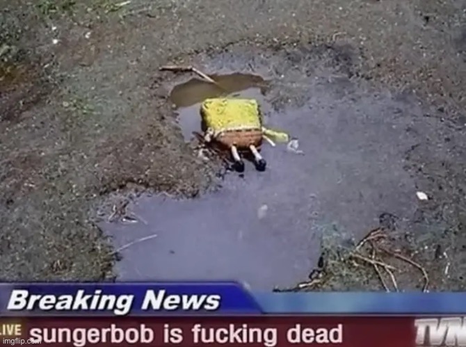 upvote to save a sungerbob | image tagged in sungerbob | made w/ Imgflip meme maker
