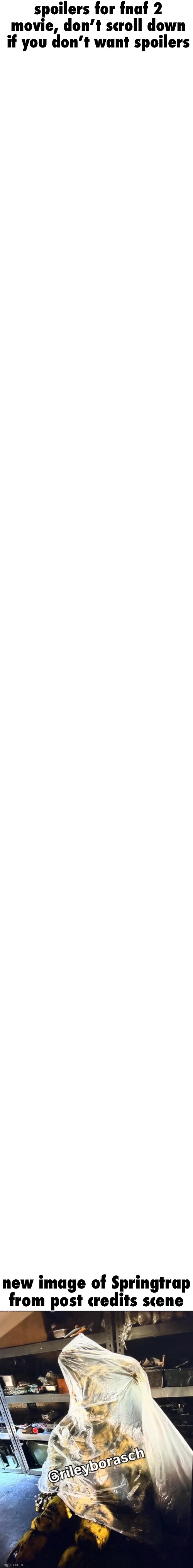 peak | spoilers for fnaf 2 movie, don’t scroll down if you don’t want spoilers; new image of Springtrap from post credits scene | image tagged in blank white template | made w/ Imgflip meme maker