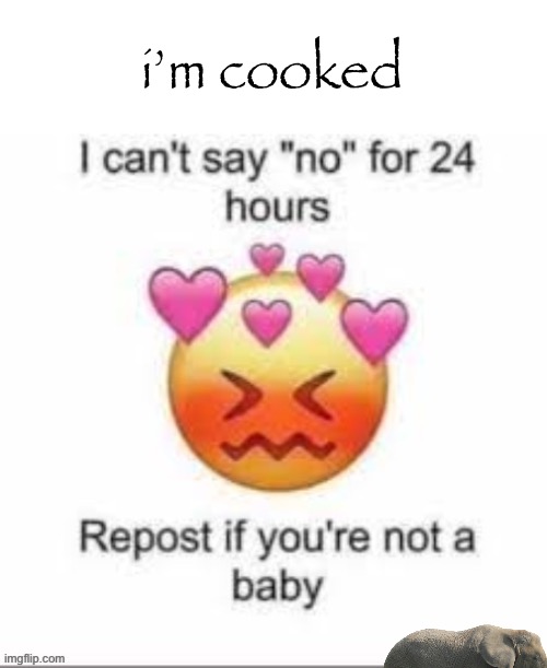 go ahead | i’m cooked | image tagged in can't say no for 24 hours | made w/ Imgflip meme maker