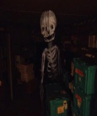 SCP-3148 Blank Meme Template