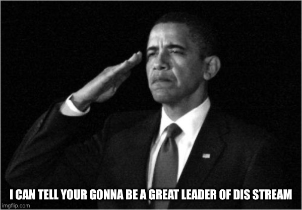 obama-salute | I CAN TELL YOUR GONNA BE A GREAT LEADER OF DIS STREAM | image tagged in obama-salute | made w/ Imgflip meme maker