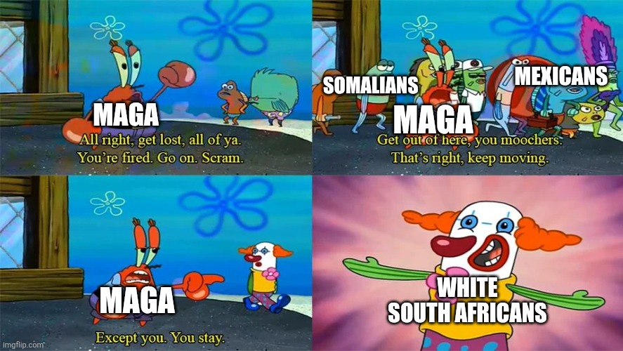 There is only one kind of immigrant group Trump supporters are ok with | MEXICANS; SOMALIANS; MAGA; MAGA; WHITE SOUTH AFRICANS; MAGA | image tagged in mr krabs except you you stay,maga,immigration,racism | made w/ Imgflip meme maker