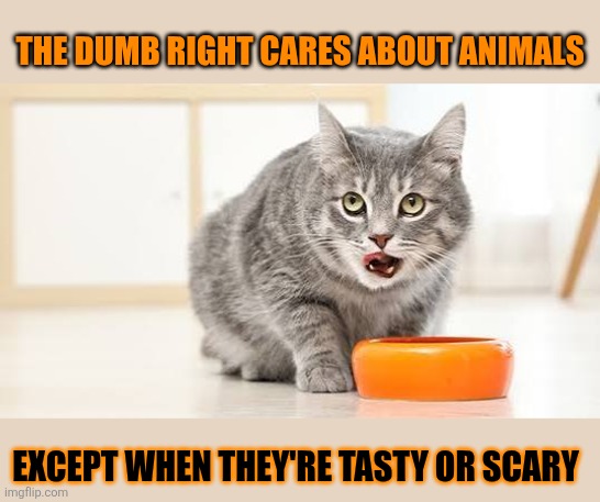 This #lolcat wonders if the right really cares about animals | THE DUMB RIGHT CARES ABOUT ANIMALS; EXCEPT WHEN THEY'RE TASTY OR SCARY | image tagged in animal rights,animals,lolcat | made w/ Imgflip meme maker