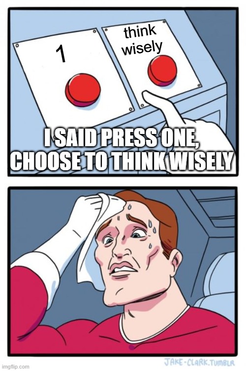 WHAT DO U WANT ME TO DO? | think wisely; 1; I SAID PRESS ONE, CHOOSE TO THINK WISELY | image tagged in memes,two buttons | made w/ Imgflip meme maker