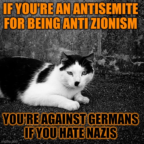 This #lolcat wonders if you're anti-American if you hate the KKK | IF YOU'RE AN ANTISEMITE 
FOR BEING ANTI ZIONISM; YOU'RE AGAINST GERMANS 
IF YOU HATE NAZIS | image tagged in nazis,zionists,fascism,lolcat | made w/ Imgflip meme maker