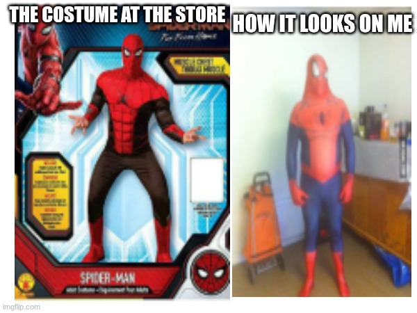 Cheap costumes | HOW IT LOOKS ON ME; THE COSTUME AT THE STORE | made w/ Imgflip meme maker