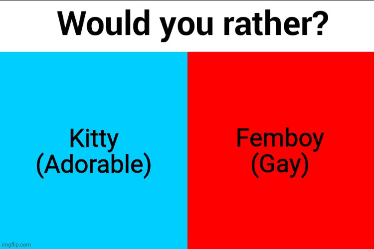 Would you rather? | Kitty (Adorable); Femboy (Gay) | image tagged in would you rather | made w/ Imgflip meme maker