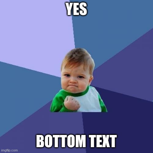 YES BOTTOM TEXT | image tagged in memes,success kid | made w/ Imgflip meme maker