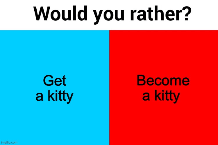 Would you rather? | Get a kitty; Become a kitty | image tagged in would you rather | made w/ Imgflip meme maker