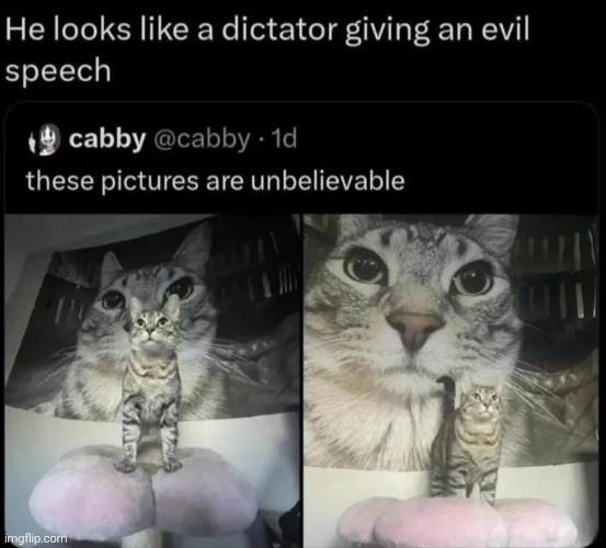 made w/ Imgflip meme maker