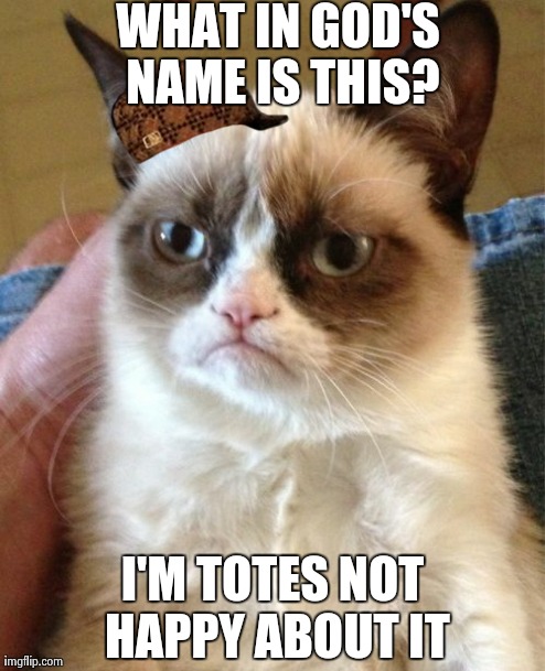 Grumpy Cat Meme | WHAT IN GOD'S NAME IS THIS? I'M TOTES NOT HAPPY ABOUT IT | image tagged in memes,grumpy cat,scumbag | made w/ Imgflip meme maker