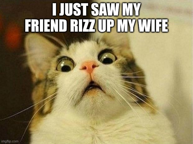 Scared Cat | I JUST SAW MY FRIEND RIZZ UP MY WIFE | image tagged in memes,scared cat | made w/ Imgflip meme maker