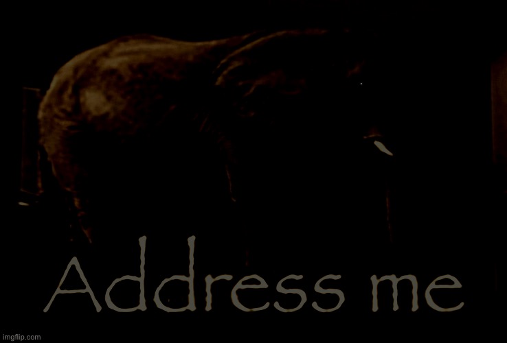 Address me | image tagged in address me | made w/ Imgflip meme maker