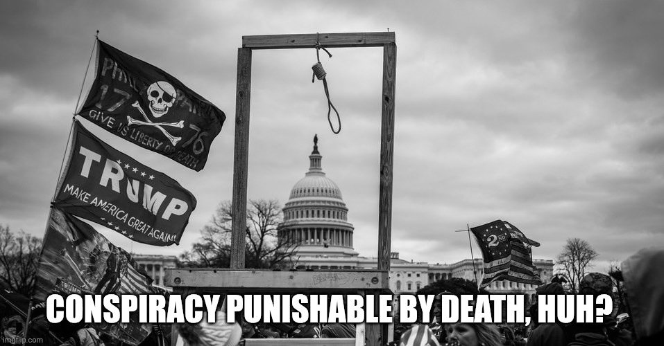 CONSPIRACY PUNISHABLE BY DEATH, HUH? | image tagged in capitol hill riot gallows | made w/ Imgflip meme maker