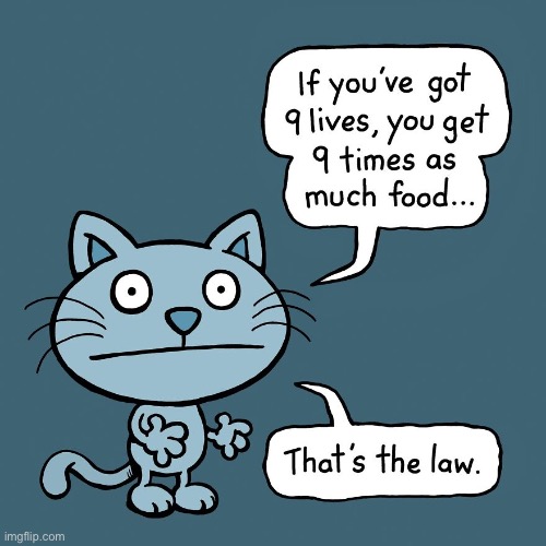 Cattitude | image tagged in cats,comics,cattitude,9 lives | made w/ Imgflip meme maker