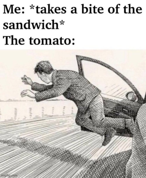 Slippery, I don't like tomatoes that much anyways lol | image tagged in funny,funny memes,relatable,fun | made w/ Imgflip meme maker