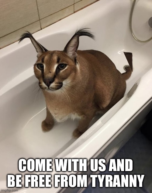 floppa | COME WITH US AND BE FREE FROM TYRANNY | image tagged in floppa | made w/ Imgflip meme maker