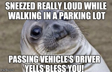 Awkward Moment Sealion Meme | SNEEZED REALLY LOUD WHILE WALKING IN A PARKING LOT PASSING VEHICLE'S DRIVER YELLS BLESS YOU! | image tagged in memes,awkward moment sealion | made w/ Imgflip meme maker