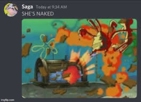SHE’S NAKED | image tagged in she s naked | made w/ Imgflip meme maker