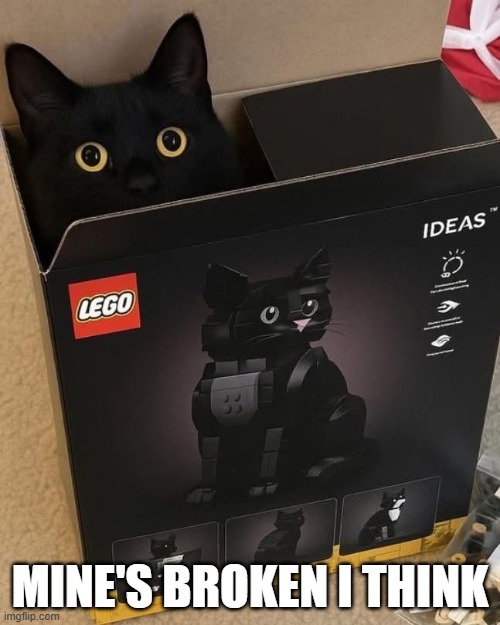 Lego Cat | MINE'S BROKEN I THINK | image tagged in cats | made w/ Imgflip meme maker