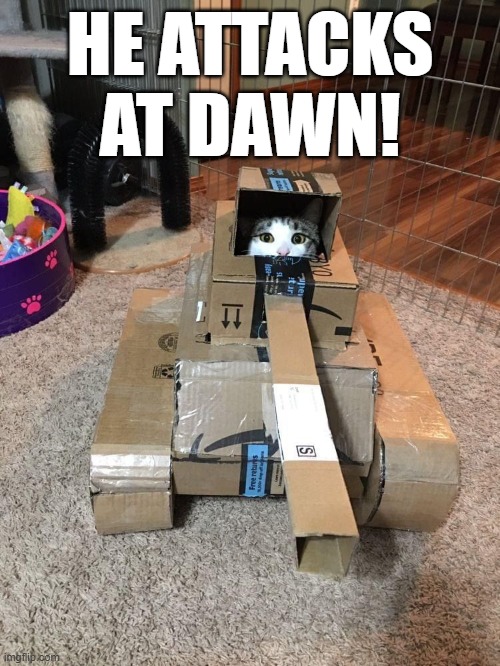 Tank Cat | HE ATTACKS AT DAWN! | image tagged in cats | made w/ Imgflip meme maker