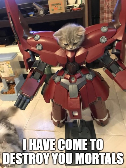 RoboCat | I HAVE COME TO DESTROY YOU MORTALS | image tagged in cats | made w/ Imgflip meme maker