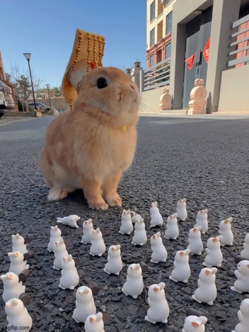 My Minions! | image tagged in bunnies | made w/ Imgflip meme maker