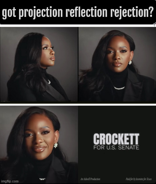 got projection reflection rejection? | got projection reflection rejection? | image tagged in got projection reflection rejection,jasmine,crocket,remember the alamo,for us senate 2026,dump trump | made w/ Imgflip meme maker