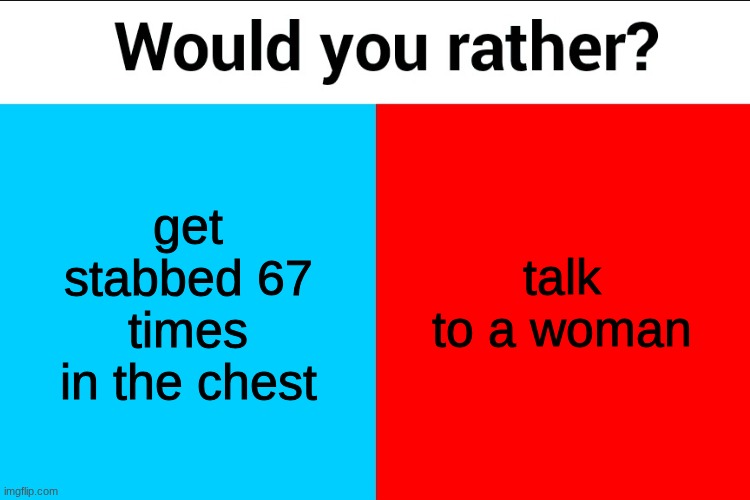 Would you rather? | get stabbed 67 times in the chest; talk to a woman | image tagged in would you rather | made w/ Imgflip meme maker