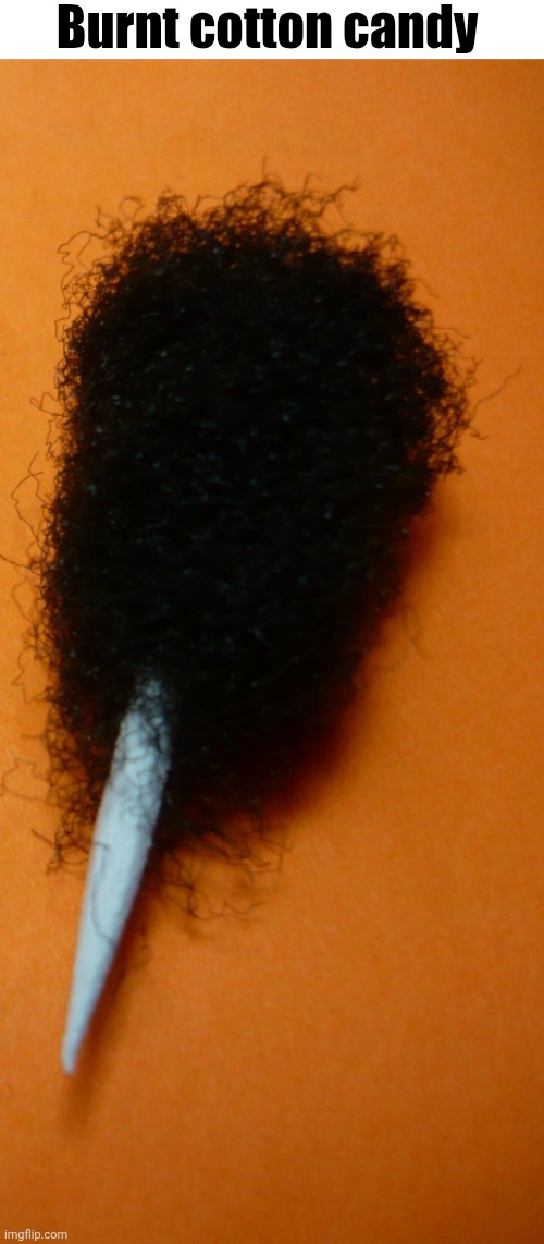 Hairy | Burnt cotton candy | image tagged in hair | made w/ Imgflip meme maker
