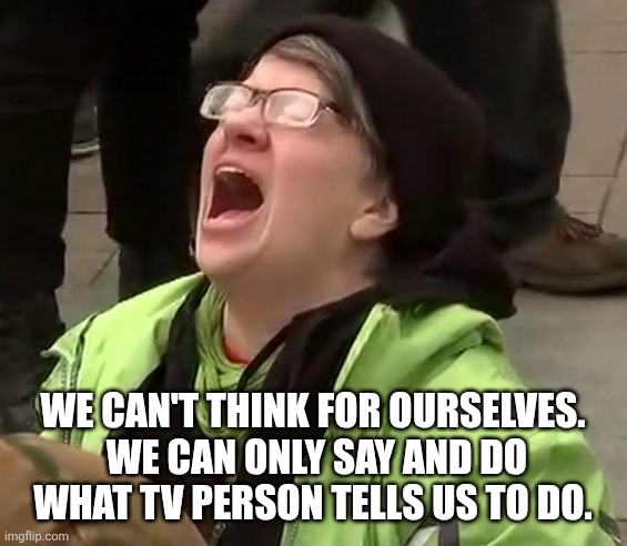 WE CAN'T THINK FOR OURSELVES.  WE CAN ONLY SAY AND DO WHAT TV PERSON TELLS US TO DO. | image tagged in crying liberal | made w/ Imgflip meme maker