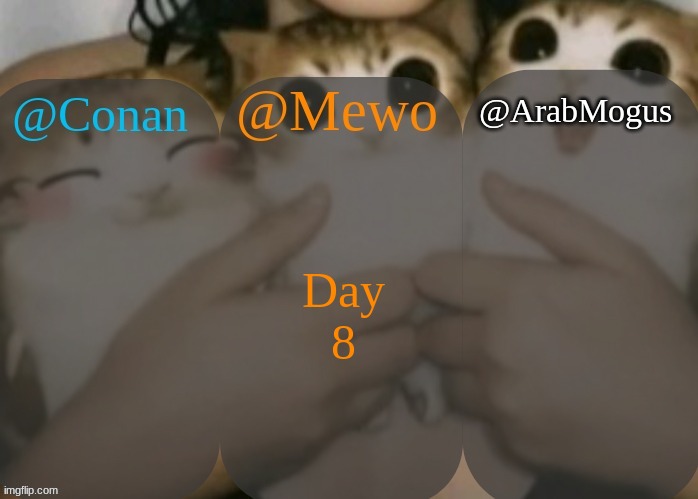 Conan, Mewo, Arabmogus shared template | Day 8 | image tagged in conan mewo arabmogus shared template | made w/ Imgflip meme maker