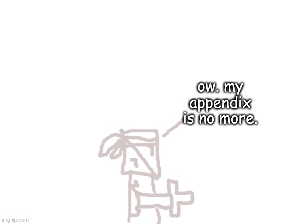 ow. my appendix is no more. | made w/ Imgflip meme maker