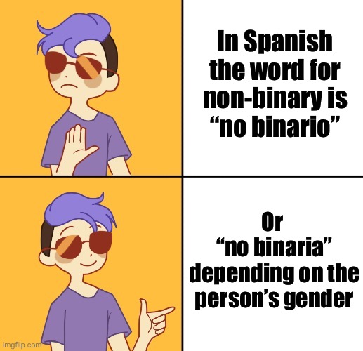 Non-binary is binary in Spanish | In Spanish the word for non-binary is
“no binario”; Or 
“no binaria” depending on the person’s gender | image tagged in non-binary drake meme,lgbtq | made w/ Imgflip meme maker