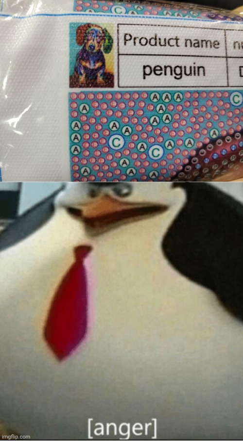 Penguin dawg | image tagged in anger thicc skipper,dog,penguin,you had one job,memes,dogs | made w/ Imgflip meme maker