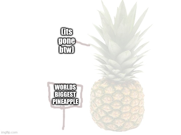 (its gone btw); WORLDS BIGGEST PINEAPPLE | made w/ Imgflip meme maker
