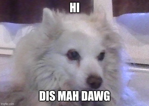 HI DIS MAH DAWG | made w/ Imgflip meme maker