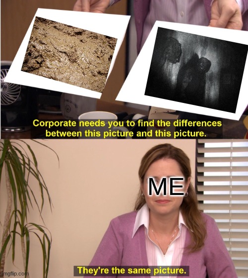 They're The Same Picture | ME | image tagged in memes,they're the same picture | made w/ Imgflip meme maker