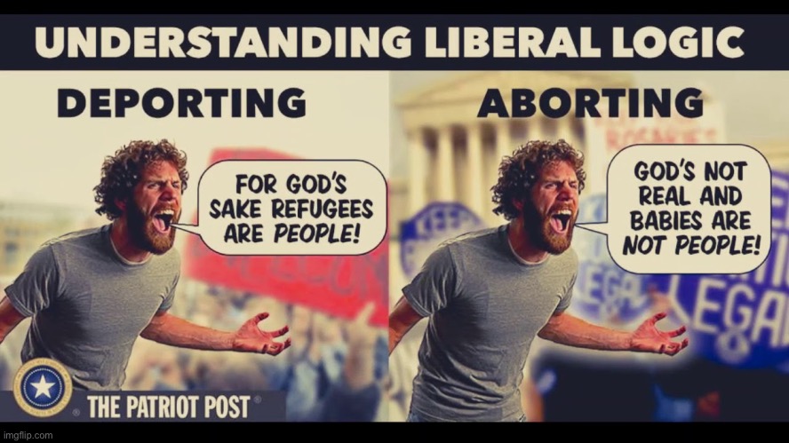 Deporting Vs Aborting | image tagged in abortion is murder,deportation,liberal logic,liberal privilege,liberal hypocrisy,double standards | made w/ Imgflip meme maker