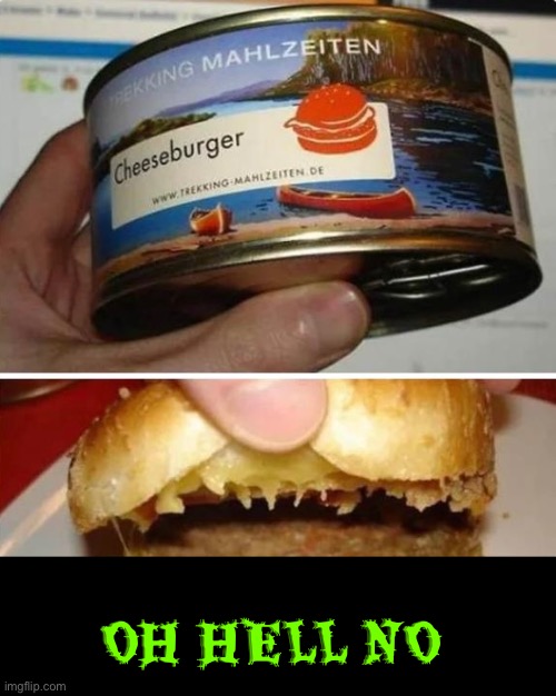 Cheeseburger In A Can | OH HELL NO | image tagged in dafuq did i just read,what the actual f,cheeseburger,nasty food,oh hell no,nope nope nope | made w/ Imgflip meme maker