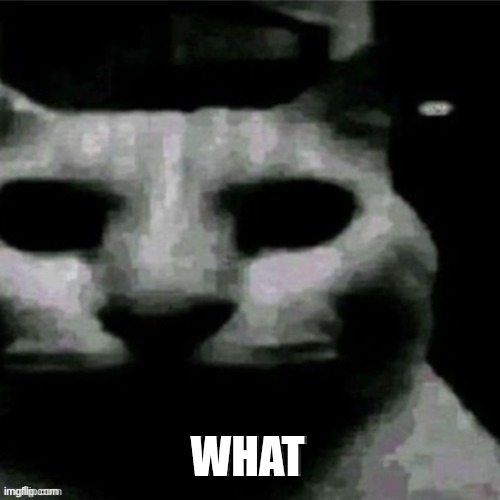 WHAT (tell me your worst "WHAT" moment in the comments!) | WHAT | image tagged in i got bored | made w/ Imgflip meme maker